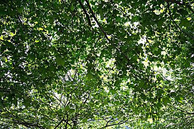 《极限竞速：地平线5》夏日音乐特辑：与音乐同行的竞速之旅！